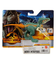 Load image into Gallery viewer, Jurassic World Dominion Ferocious Pack Moros Intrepidus action figure with movable joints.
